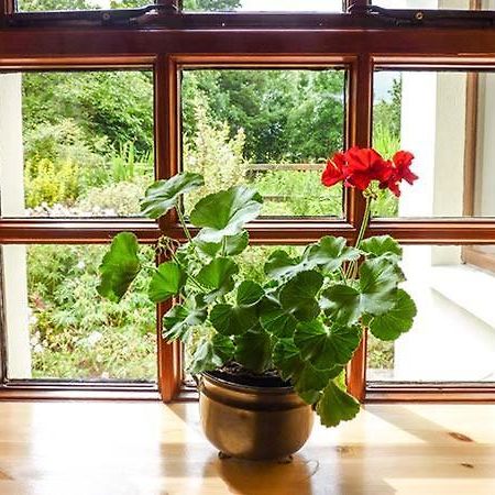 Hawthorn Farm Cottage Curry Buitenkant foto