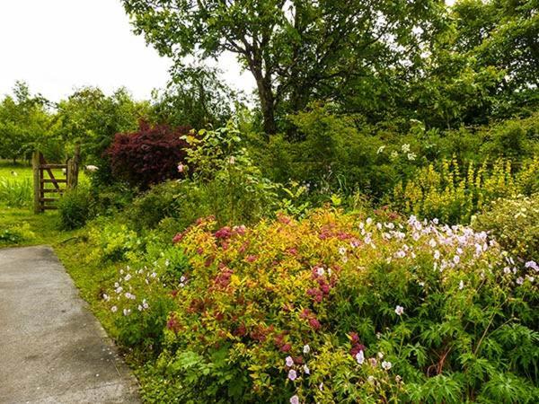 Hawthorn Farm Cottage Curry Buitenkant foto